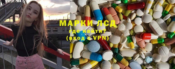PSILOCYBIN Аркадак