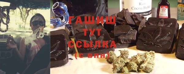 PSILOCYBIN Аркадак